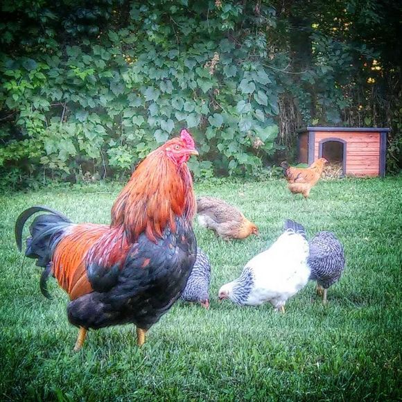 Meet your Posher, Kelly - Picture 1 of 1